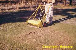 In 1955 Tom Mascaro invented the Verti-Cut to eliminate grain and reduce thatch, it revolutionized how golf was played.