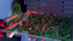 Also, the Turf-Tec Laser Prism Gauge's laser lights up the tips of any turfgrass leaf blades that have not been properly cut, easily showing problems like step cuts, stragglers, cutting unit hop, marcelling or wash boarding when viewed along the direction of cut. 