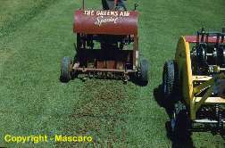 The Greens Air makes its appearance as a puncher.