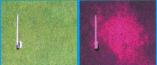 Identify Fusarium Patch with the Turf Stress Detection Glasses