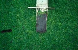 Texas Lutheran University, Sequin, TX.  This is the schools soccer / football fields.  The soil is native clay with common Bermudagrass base.   The profile is taken with the Mascaro Profile Sampler.