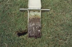 STMA, Florida Chapter # 1 meeting at the Village of Pinecrest.  This is one of their multi-purpose fields.  This is a soil profile taken of the multi-purpose fields with the Mascaro Profile Sampler
