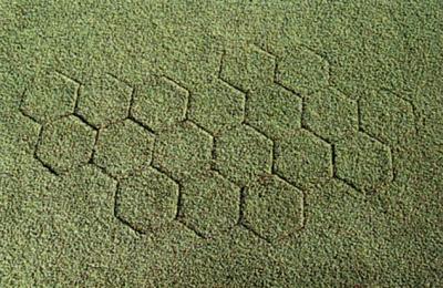 Seamless repair completed with 7 Inch Hexagon Turf Plugger on golf green